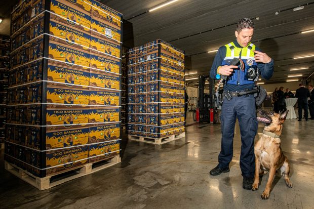 Cantitate record de cocaină, de 116 tone, confiscată de vameșii belgieni în 2023. Violența legată de traficul de droguri a crescut în UE