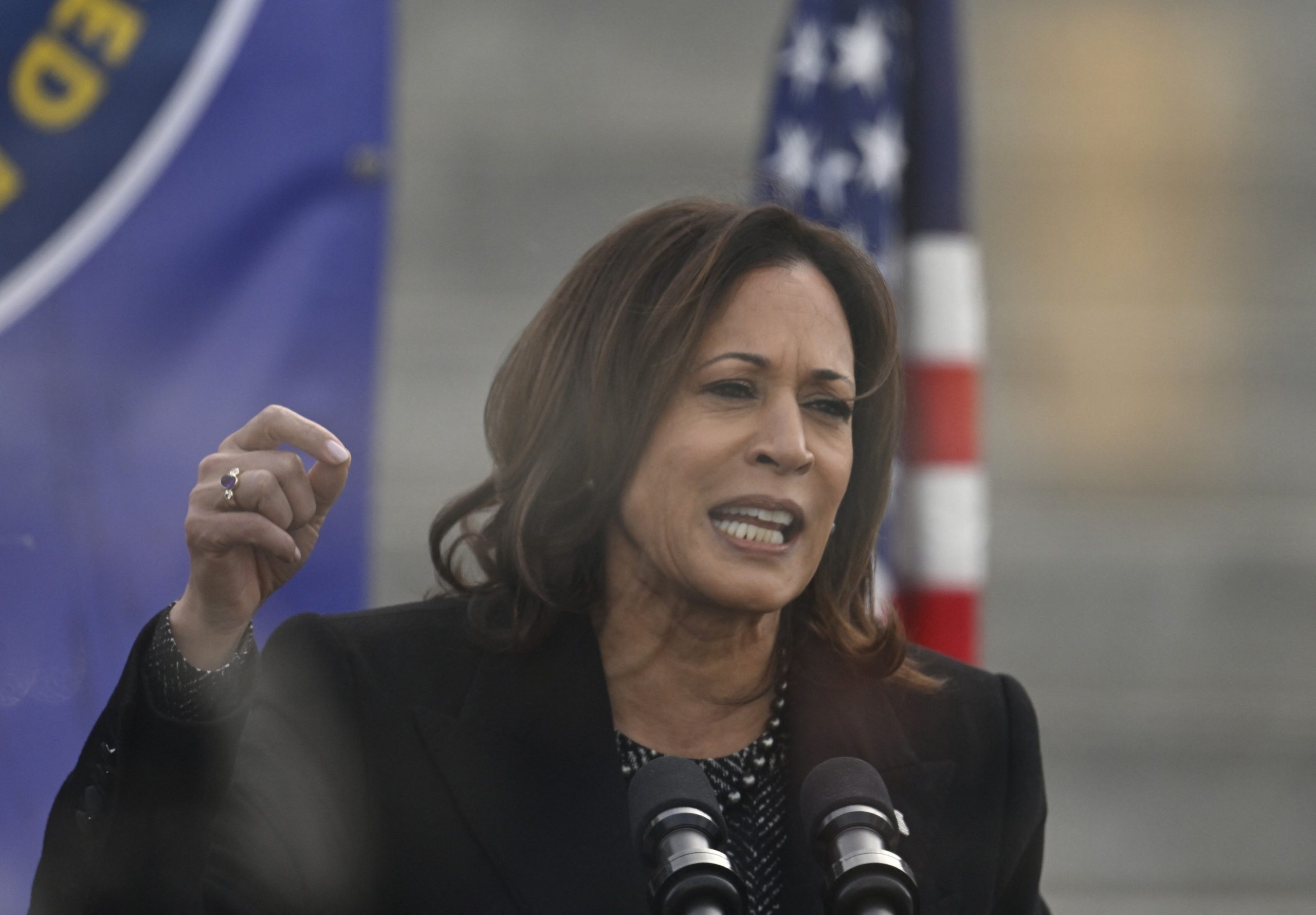 Kamala Harris, „al naibii de speriată” că Trump va reveni la putere. „Nu trebuie să fugim de ce ceea ne sperie, trebuie să luptăm”