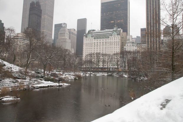 SUA, lovite de un front arctic care a adus temperaturi de minus 36 de grade Celsius. La New York a nins, după doi ani de pauză | VIDEO