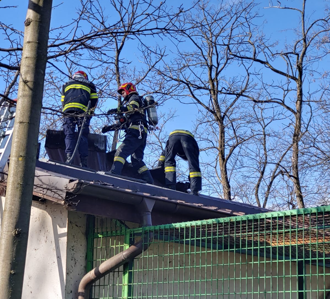 Incendiu la zoo din Râmnicu Vâlcea, maimuțele evacuate din pavilion Incendiu la zoo din Râmnicu Vâlcea, maimuțele evacuate din pavilion