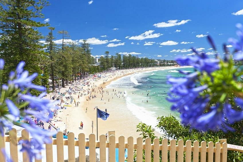 Cele mai frumoase plaje din lume in 2024: Descopera Paradisul pe Pamant! 7 7 manly beach