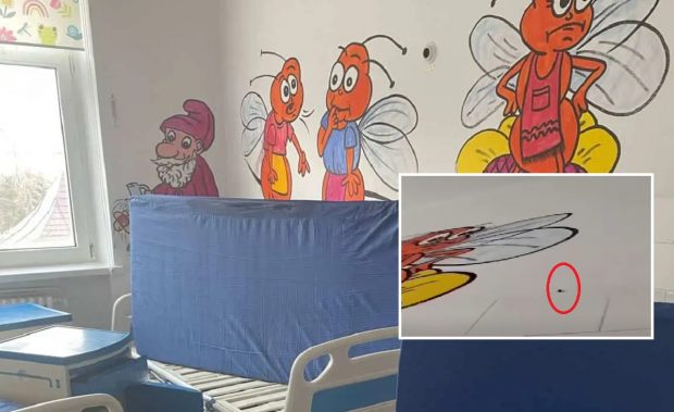 Gândaci în saloanele de Pediatrie de la Spitalul Județean Botoșani: „Mizerie ruptă parcă dintr-un film de groază”. Reacția conducerii | VIDEO
