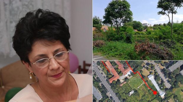 „Nimeni nu e vinovat de moartea ei” Dosarul pacientei dispărute și găsite moartă după 6 zile în boscheții din curtea Spitalului Obregia, închis din nou de procurori