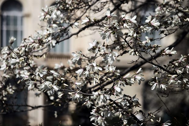 Vremea în următoarele patru săptămâni. Meteorologii anunță temperaturi mai ridicate decât cele obişnuite