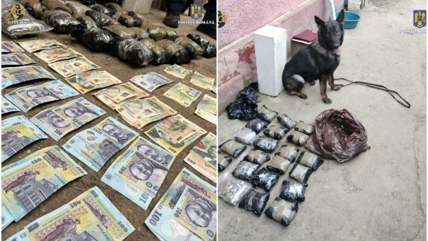 O bunică de 87 de ani din Ialomița, traficantă de droguri coordonată de nepoții ei. Vindea canabis și cocaină