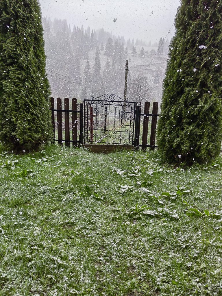 a nins in nordul moldovei foto faceb