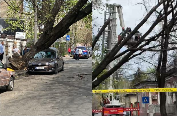 Bucureștiul, sub cod portocaliu de vânt: copaci doborâți pe mașini de rafalele puternice. Imagini cu urmările