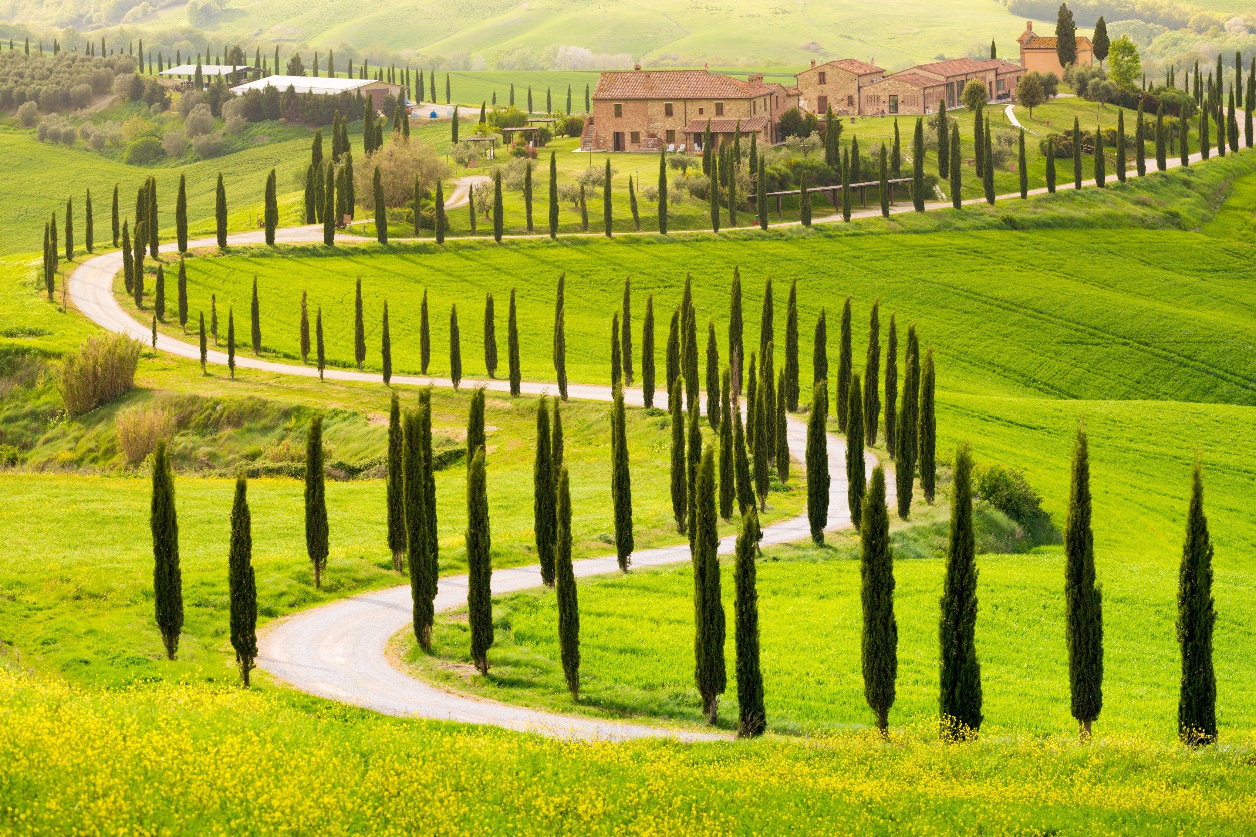 Curiozităţi despre Toscana