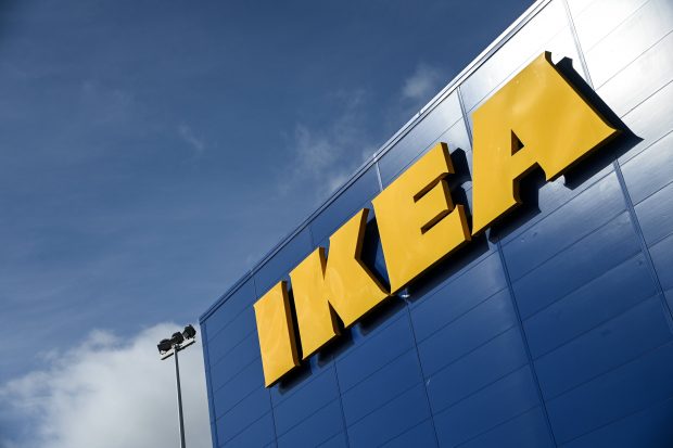 IKEA face mobilă din pădurile seculare ale României, acuză Greenpeace. „Arbori cu vârste de până la 180 de ani sunt tăiați”