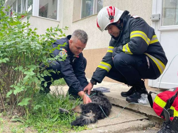 Incendiu într-un bloc din Pitești. Zece persoane s-au autoevacuat, un cățel a fost salvat de pompieri