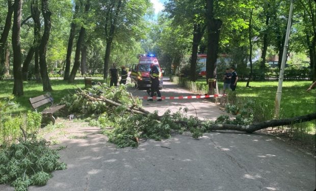 O creangă dintr-un copac din Parcul Bazilescu a căzut peste doi tineri. Spitalul Elias: Fata este în comă