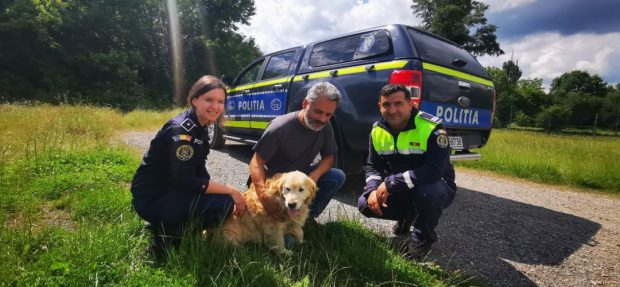 Un câine pierdut în urmă cu doi ani de o familie din Timişoara, găsit întâmplător de poliţişti, în Caraş-Severin