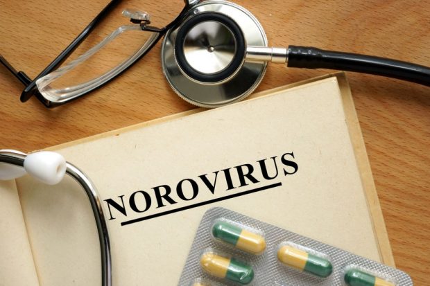 Ce este norovirusul. Cum se manifestă infecţia cu norovirus