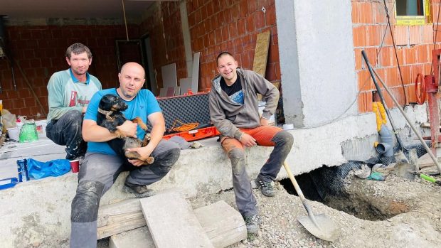 Un cățel blocat într-o vizuină de vulpe, sub fundația unei case din Cluj, salvat după 8 ore cu ajutorul unui câine antrenat să caute victime la cutremure