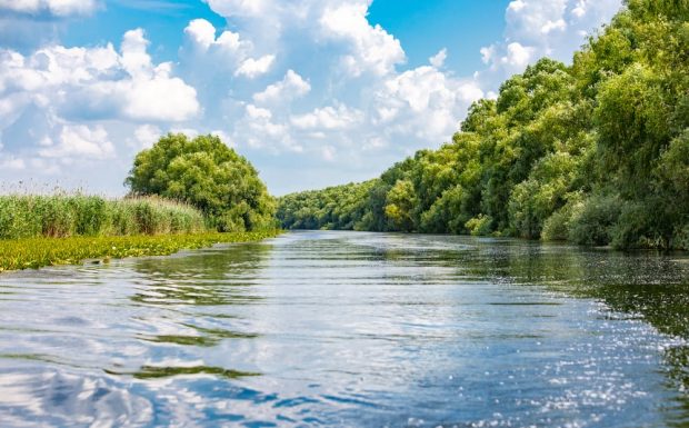 Raport WWF: Subvenţiile agricole acordate în Delta Dunării sunt dăunătoare naturii şi comunităţilor din zonă