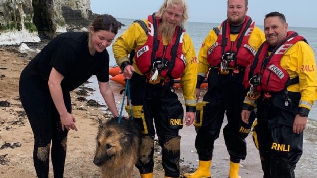 „Doginson Crusoe”. Un ciobănesc german a fost salvat după ce a înotat peste 6 kilometri în Marea Nordului