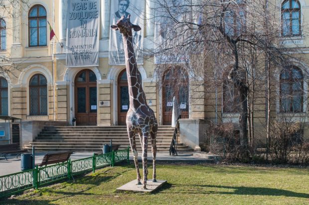 Antipa, al patrulea muzeu din București care nu va participa la Noaptea Muzeelor, pe 18 mai. Cum motivează instituția decizia