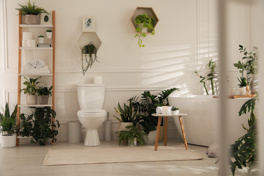Plante De Apartament Care Se Potrivesc în Baie Plante De Apartament Care Se Potrivesc în Baie