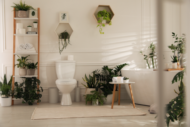 Plante de apartament care se potrivesc în baie