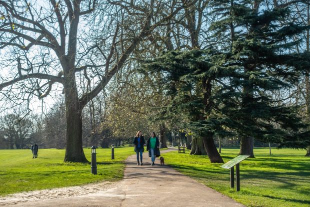 Legătura dintre spațiile verzi din apropierea locuinței și sănătatea mintală. La ce concluzii au ajuns cercetătorii unui studiu