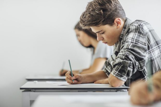 Programă Informatică Bac 2024 – Teme de studiu pentru Bacalaureat
