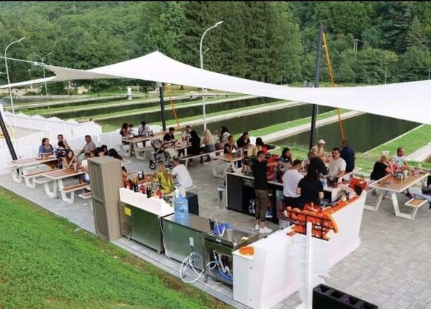 Clientul unei terase din Sibiu a găsit un melc în salată. Conducerea: O dovadă vie a naturii noastre ecologice