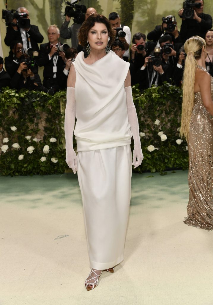 vedete met gala 2024 4