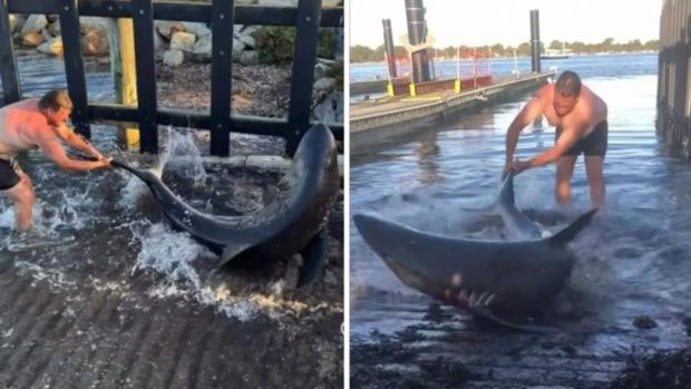 „Aquaman” din Australia. Un bărbat a salvat cu mâinile goale un rechin care se prinsese în firele undițelor sale | VIDEO