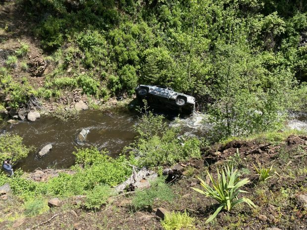 Cum și-a salvat un câine stăpânul, după ce bărbatul a căzut cu mașina într-o râpă, în SUA