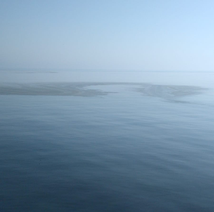 Posibilă poluare în Marea Neagră, constatată la Constanța de un biolog. Navală acuză „dezinformare” referindu-se la situație.