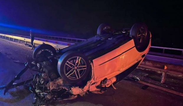 Două maşini au lovit o bovină pe autostrada A3, în județul Prahova. Unul dintre autoturisme s-a răsturnat