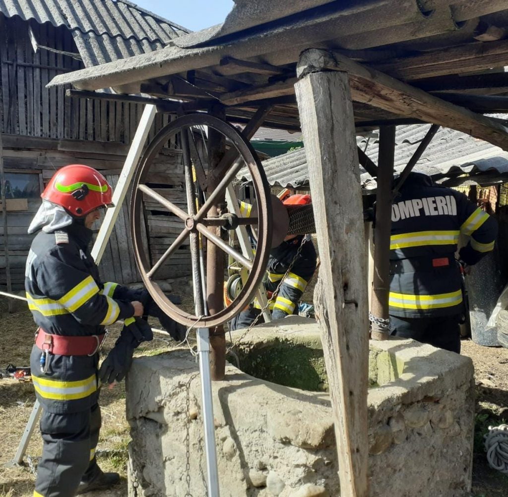 caine cazut fantana pietrosani arges 2