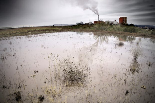 Ce este ploaia acidă – cauze, efecte