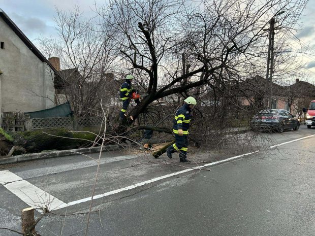 Probleme după vijeliile din țară: copaci căzuți, case inundate și localități fără curent. Au fost emise mesaje Ro Alert