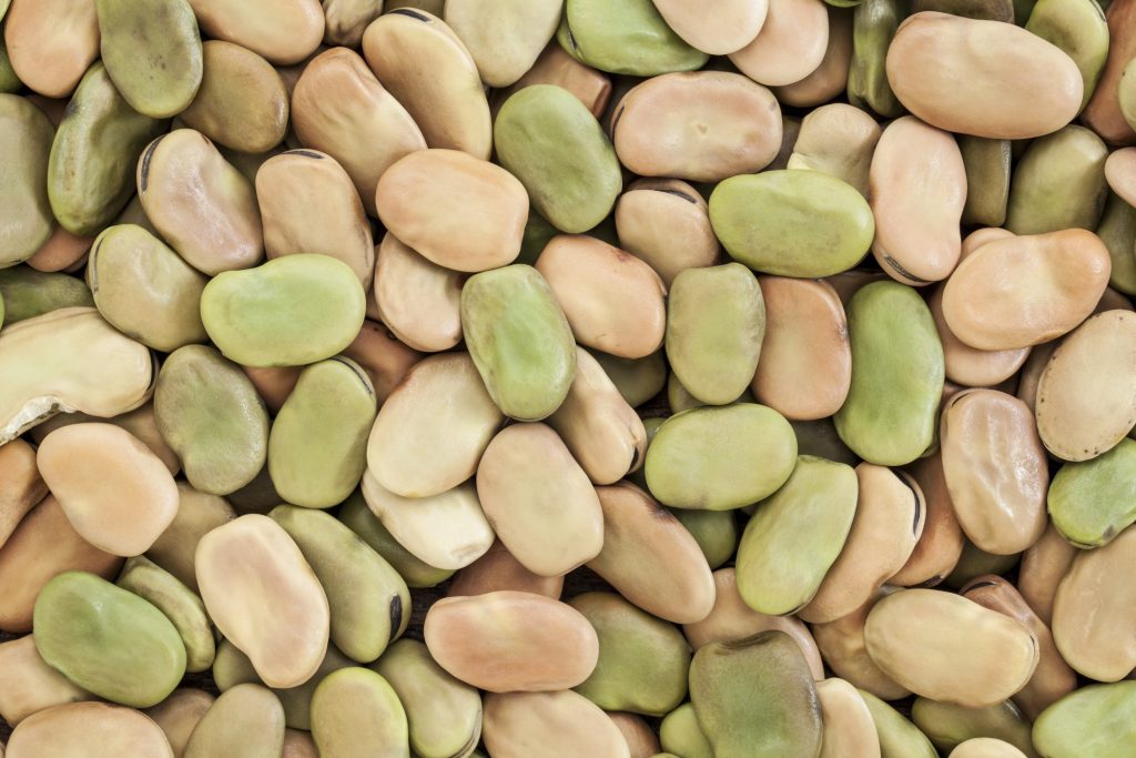 Ce este bobul. Reţete de mâncare cu bob 1 fasole fava uscata bob