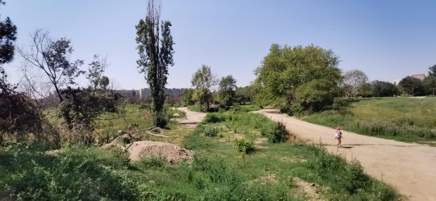 Cum a devenit o femeie de 90 de ani „moșieră” pe domeniul public din inima Bucureștiului. Locuitorii zonei cer în instanță anularea retrocedării „în natură” a Parcului IOR