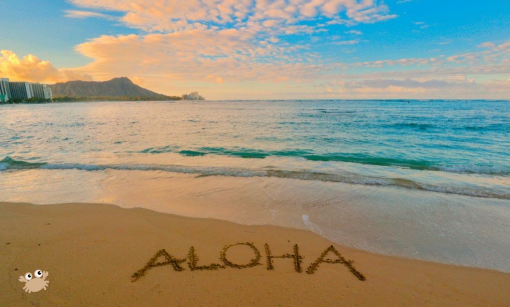 Descoperă Sloturile Online cu Tematică de Vacanță 1 foto aloha