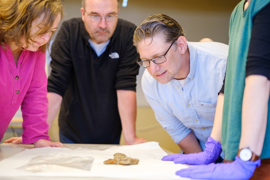 Un fermier din Norvegia a găsit o sabie rară, care are mai bine de 1000 de ani: „Am vrut să o arunc” 3 funnvikingsverdlovraarkeologiskmuseum 13
