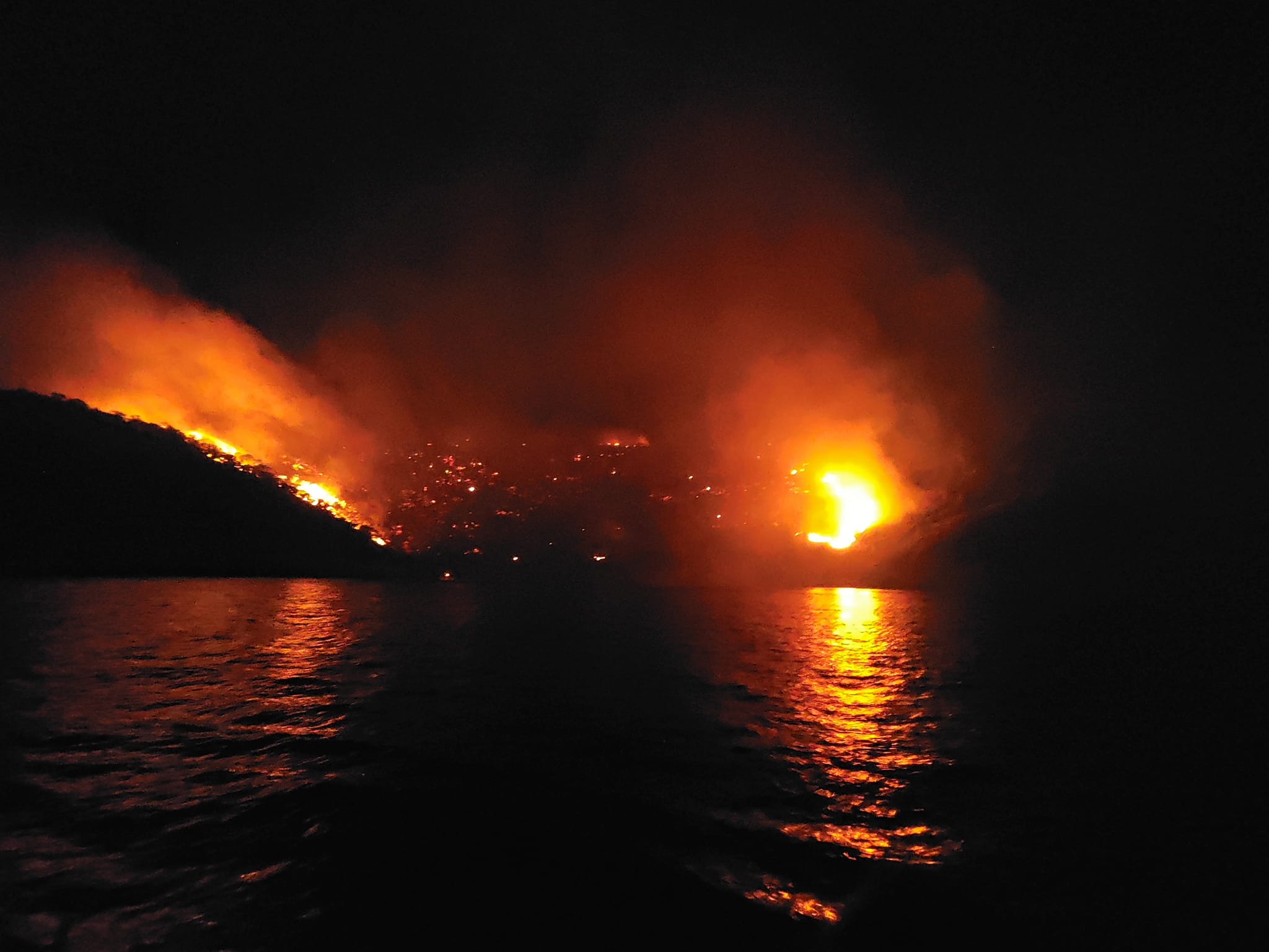 Incendiu devastator în singura pădure de pini de pe Hydra Incendiu devastator în singura pădure de pini de pe Hydra