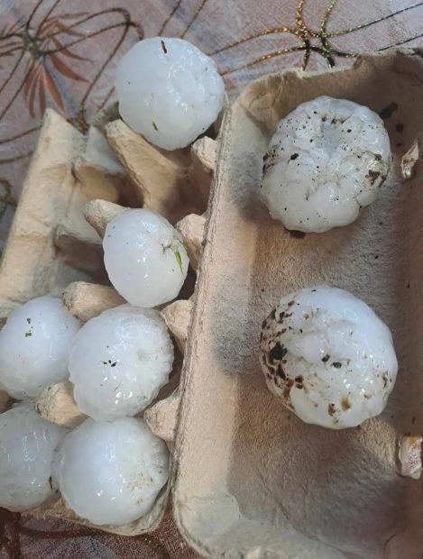 Grindină de mărimea unei mingi de ping-pong la Răducăneni, în județul Iași: mașini avariate, culturi agricole distruse