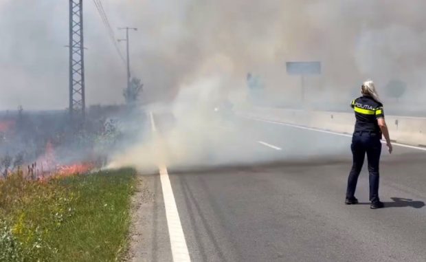 Incendiul pe 50 de hectare, izbucnit în apropiere de DN 1, stins de pompieri. Circulaţia a fost îngreunată între Ploieşti şi Braşov