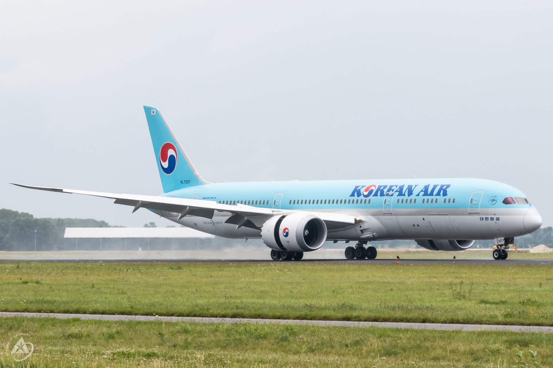 17 pasageri au fost răniți ușor, după ce un Boeing 737 Max al Korean Air a „căzut” de la 8.200 de metri | VIDEO