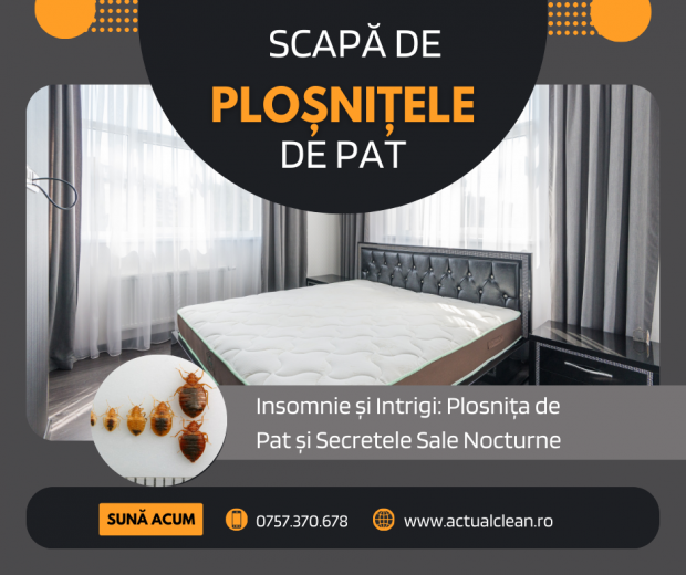 Dezinsecție Ploșnițe de Pat –  Scapă definitiv cu Actual Clean 