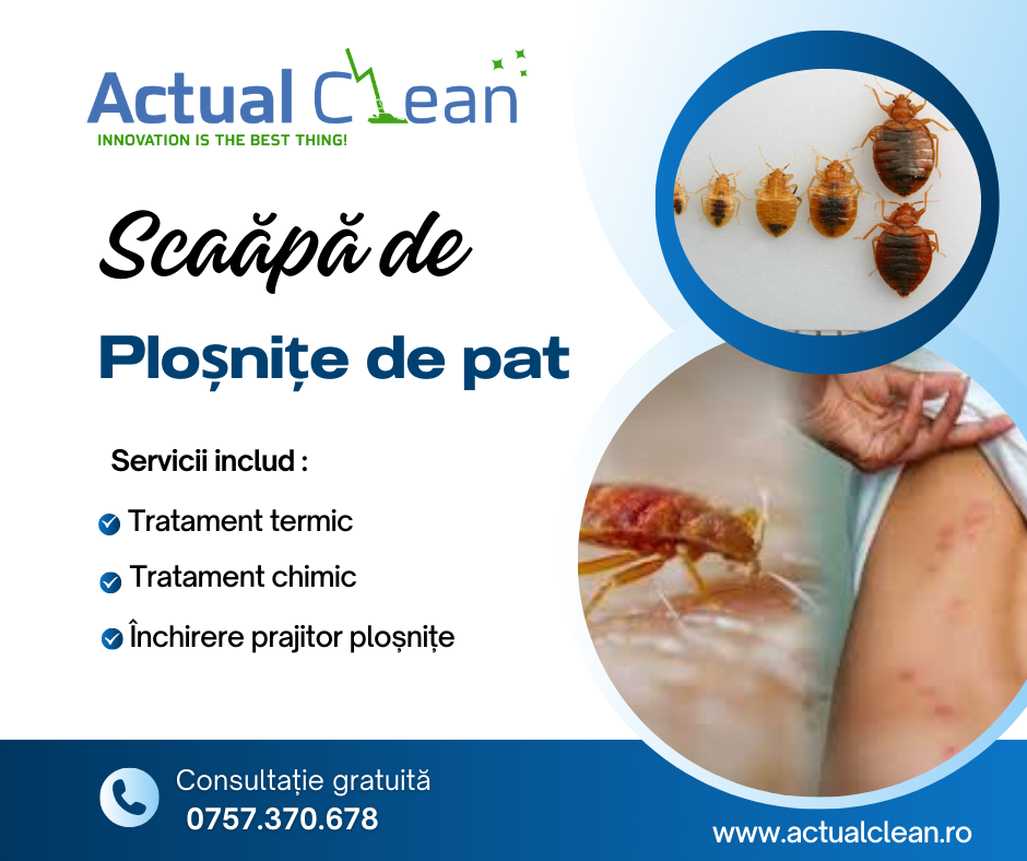 Dezinsecție Ploșnițe de Pat - Scapă definitiv cu Actual Clean