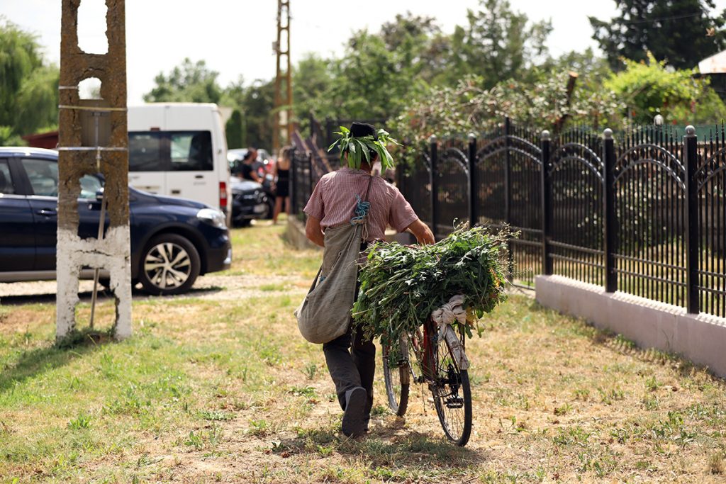REPORTAJ Alegeri 2024 | Poliție, jandarmi și o bunică speriată de propria nepoată la Belciugatele: „M-a făcut în tot felul că am urcat în mașina primarului!” 31 mitus vot belciugatele 34