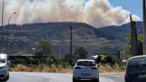 Sute de pompieri luptă să stingă incendiile din pădurile de lângă Atena: „Sunt mai multe focare, lupta este crâncenă”