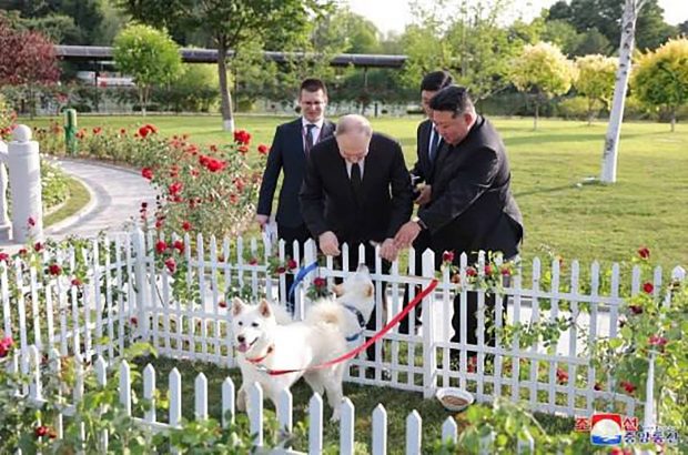 Kim Jong-un i-a dăruit lui Vladimir Putin doi câini din rasa Pungsan. Liderul rus l-a plimbat pe dictator cu o limuzină rusească Aurus