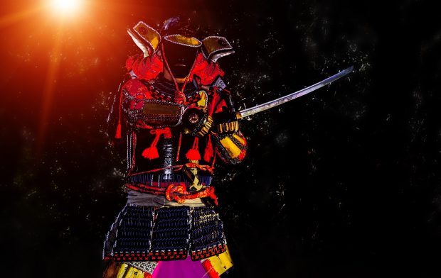 Ce este un shogun