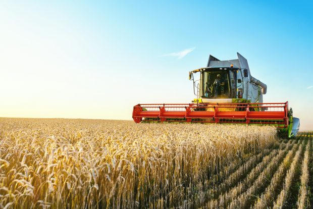Măsurile PSD de susținere a agriculturii fac din România un lider european