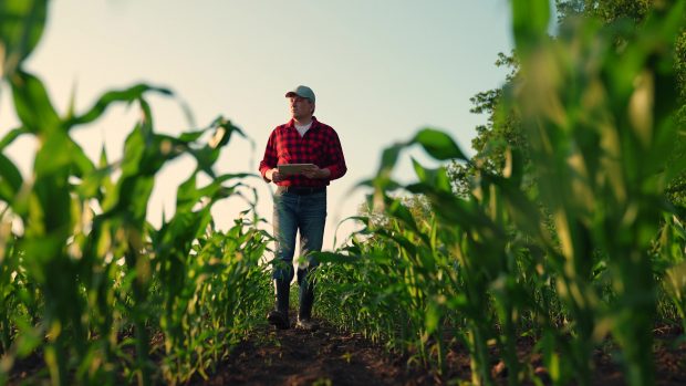 O nouă mână de ajutor de la PSD pentru agricultori: „Creditul Fermierului” ajunge la 1,4 miliarde lei plus bani europeni pentru cumpărarea de combine și tractoare